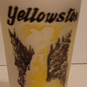 Vintage Wyoming Yellow Stone Souvenir Glass
